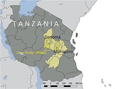 Farm Production Diversity and Household Dietary Diversity: Panel Data Evidence From Rural Households in Tanzania
